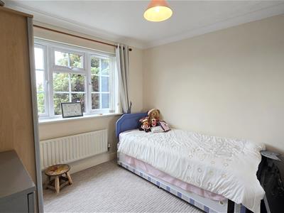 Picture 13
